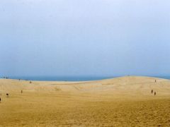 Sandhill