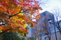 小石川後楽園前