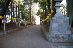 参道