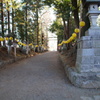 参道