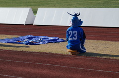 野武士