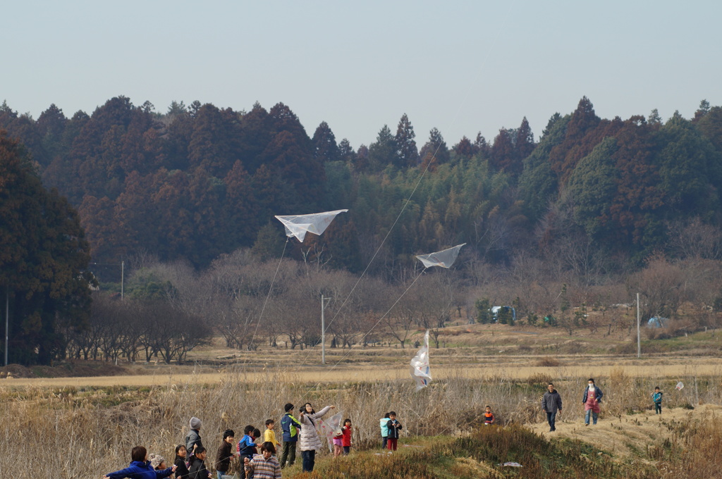 里山に凧