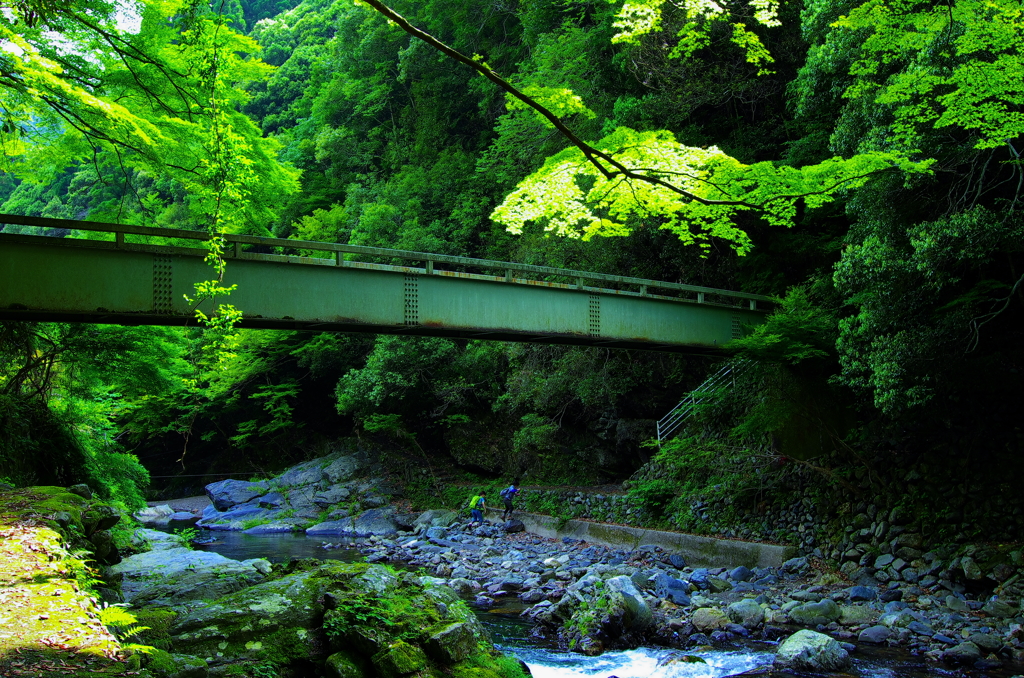 京の奥山