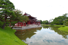 宇治の庭