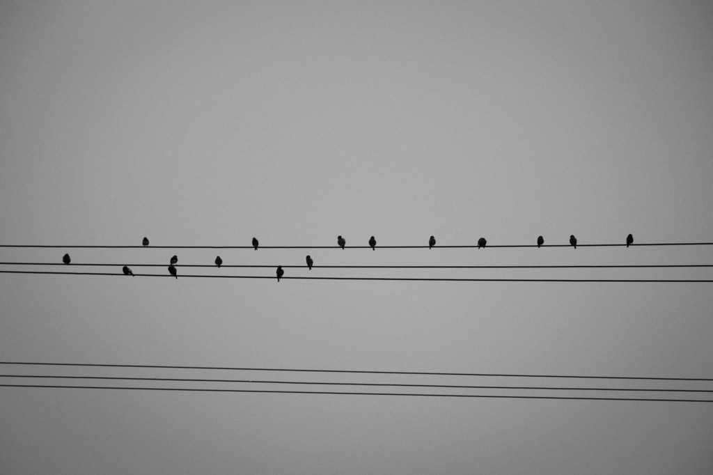 musical note