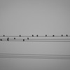 musical note