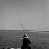 釣り師の背中