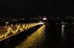 大濠公園 イルミネーション2