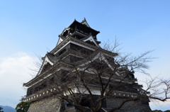 12月 熊本城3