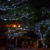 大濠公園 イルミネーション1