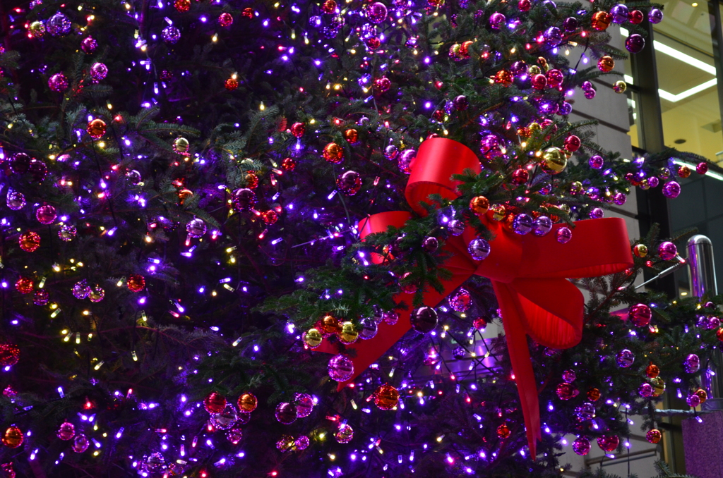 クリスマスツリー01