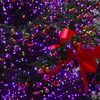 クリスマスツリー01