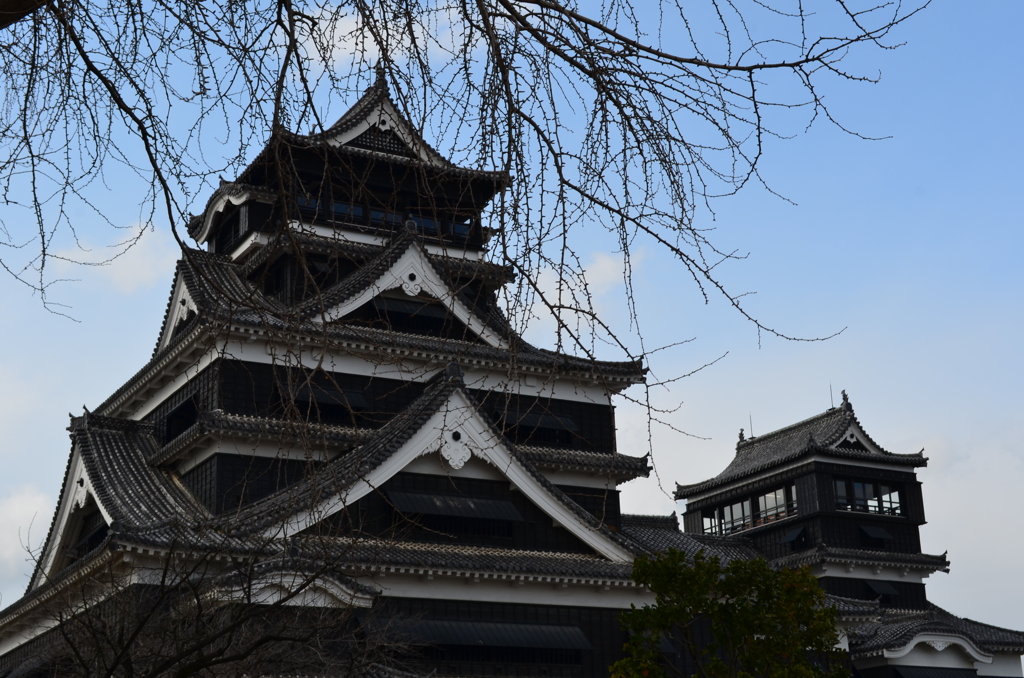 12月 熊本城2