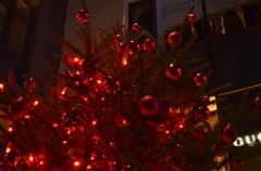 クリスマスツリー02