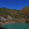 宮ヶ瀬湖　紅葉