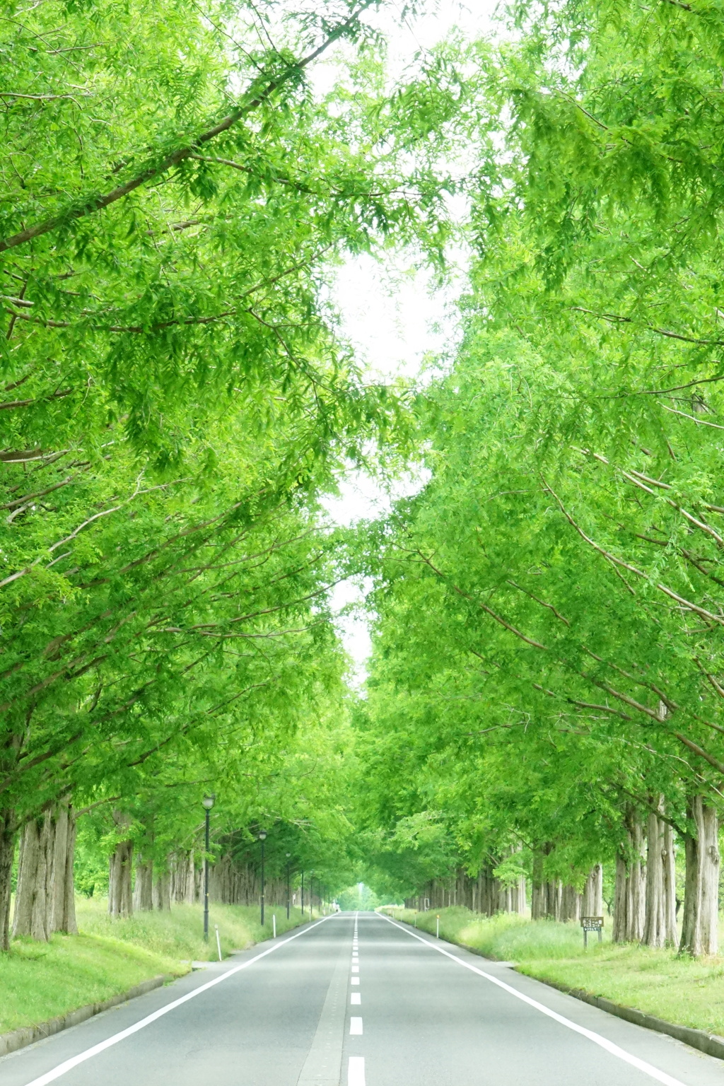 果てしなく