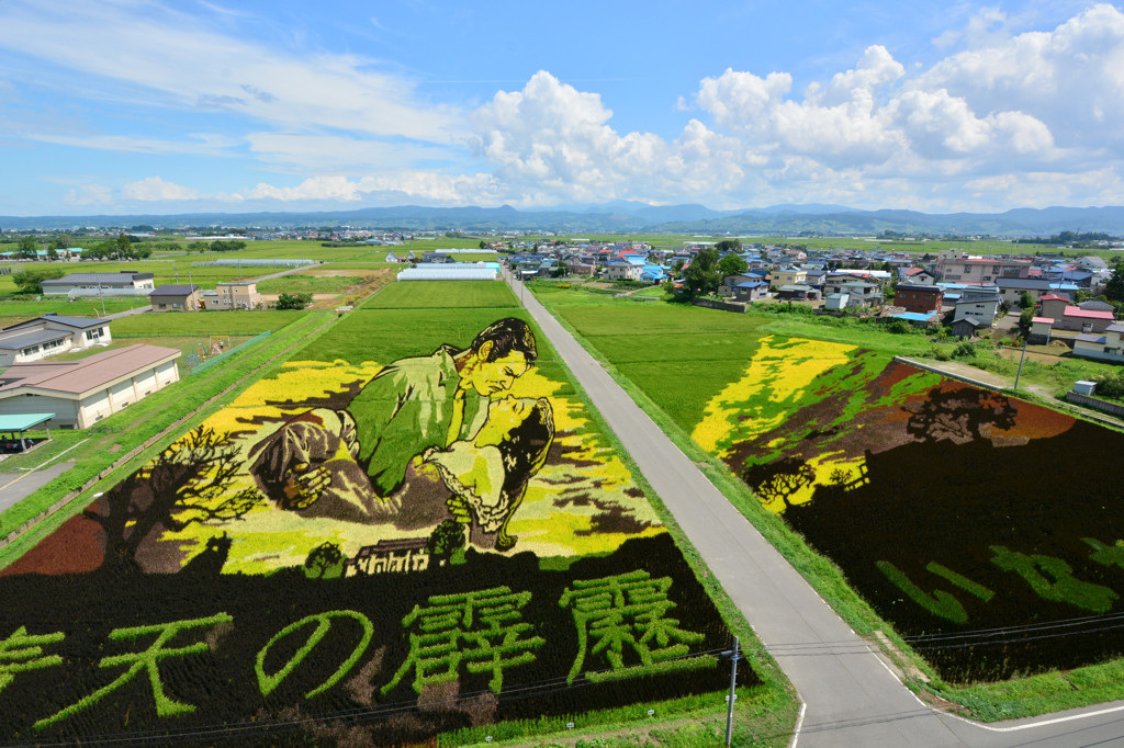 創造の美