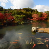 青空と紅葉に包まれる日本庭園