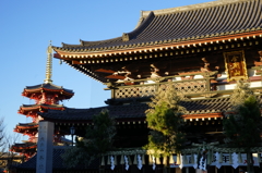 初詣