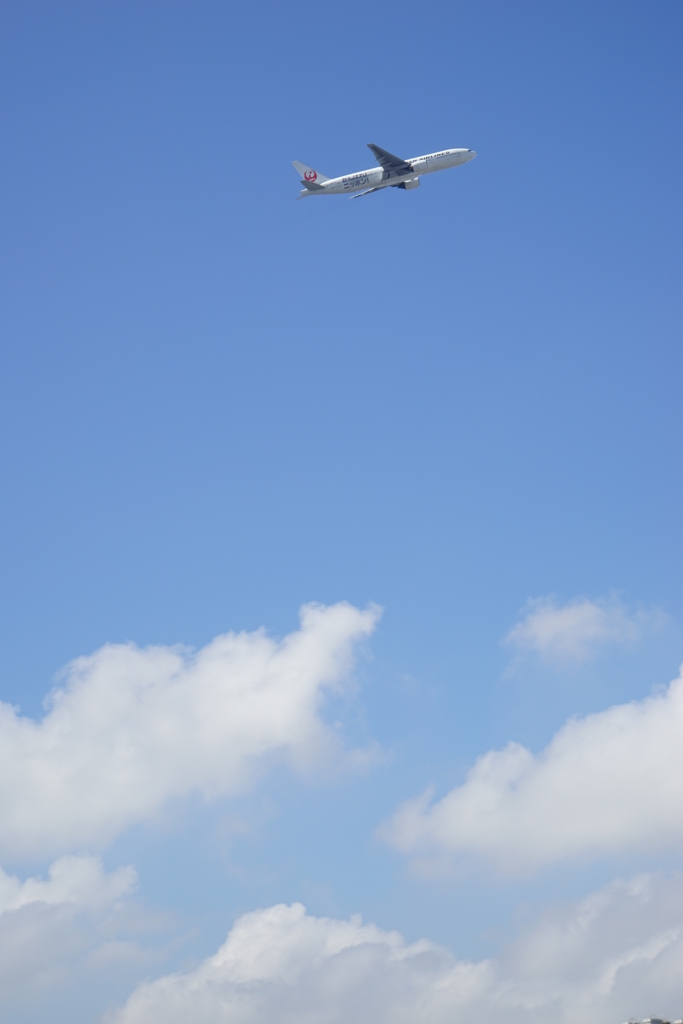 夏空へ