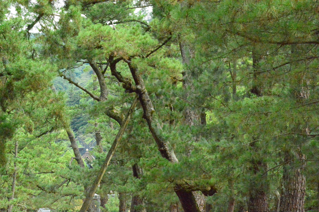 鎮座