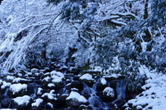 水墨の世界