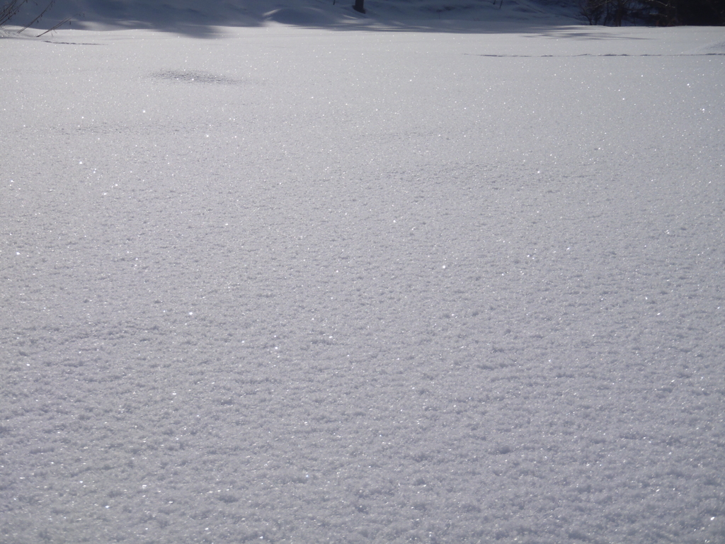 雪の光