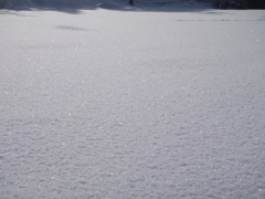 雪の光