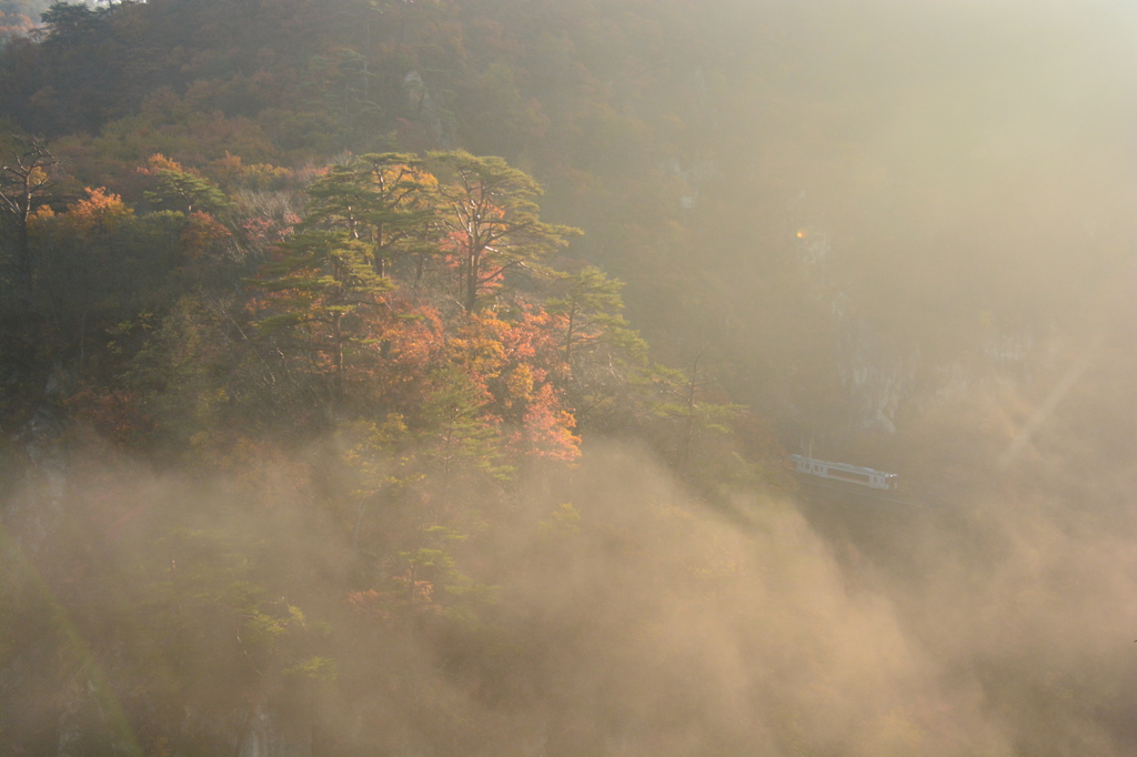 朝靄の紅葉