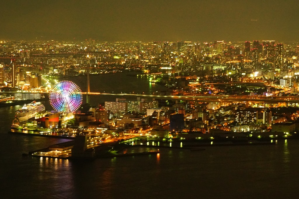 夜の港