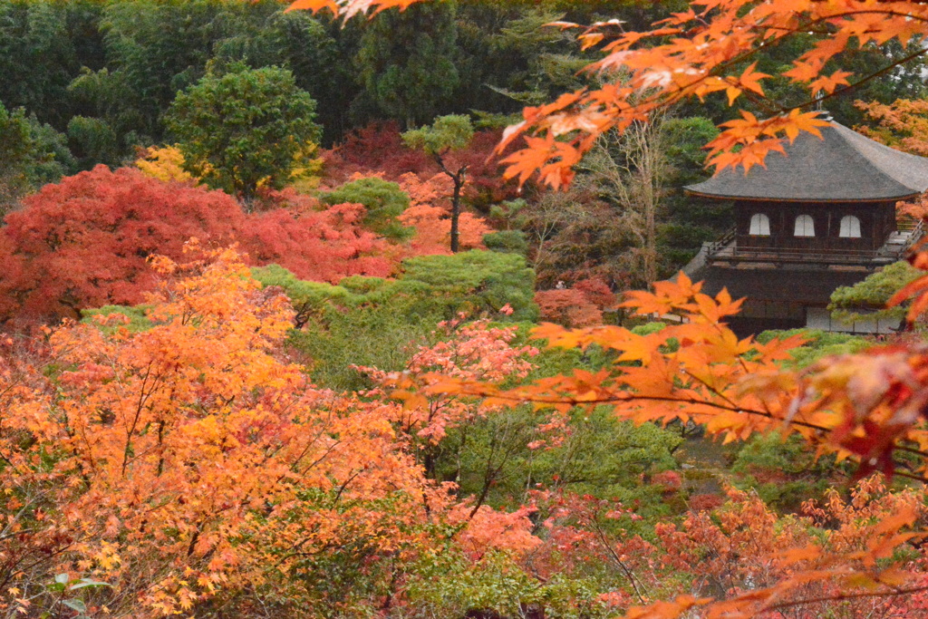 紅に包まれて