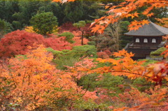 紅に包まれて