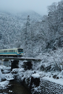 雪の中を力強く