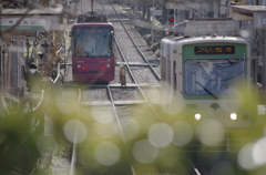 春よ来い