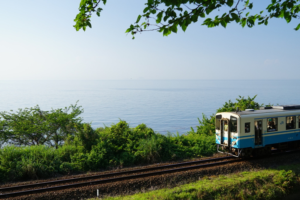 海岸線に沿って