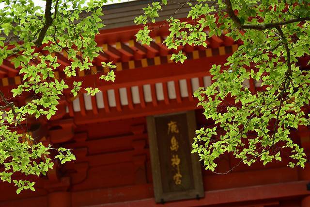 武神
