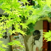 和