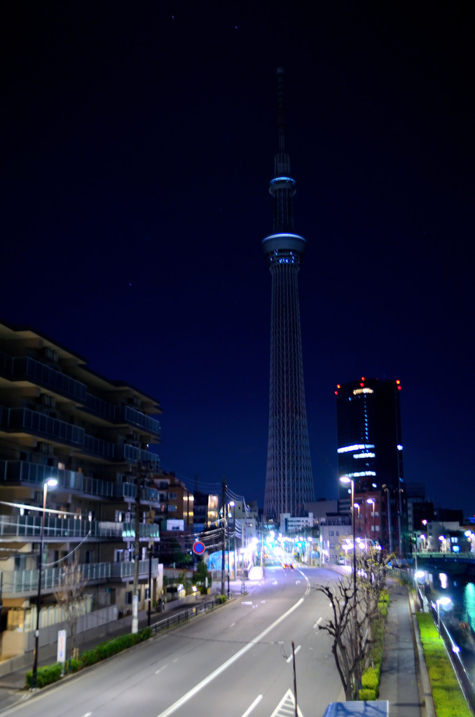 sky tree