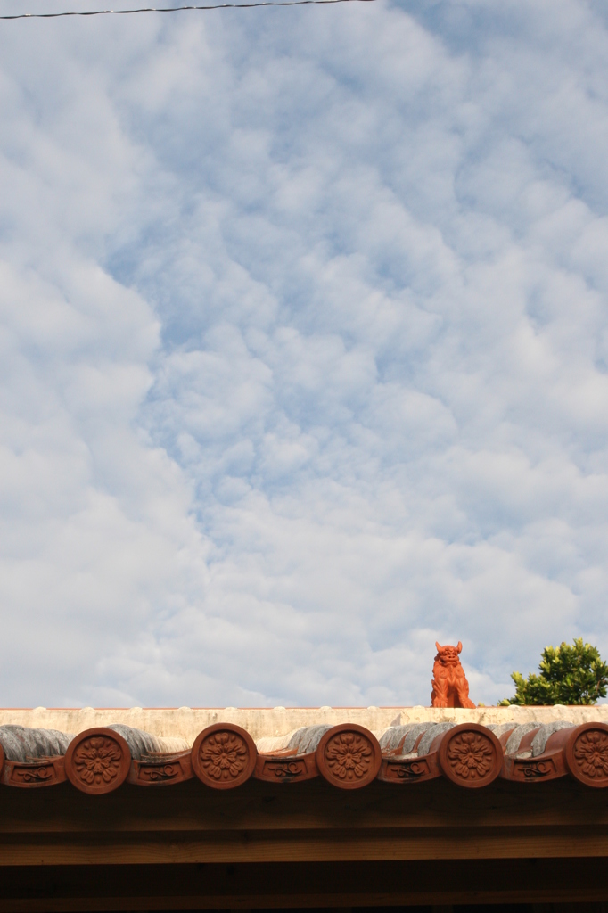 CANVASは青空　～シーサー1～