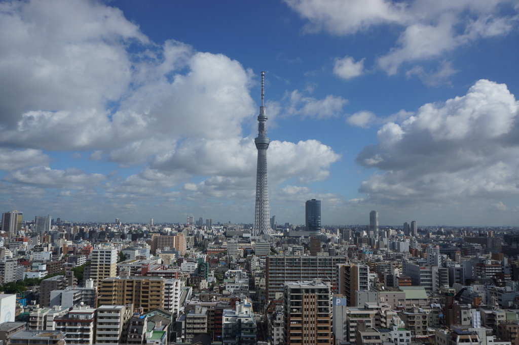 そびえたつ塔