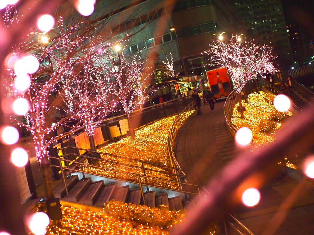 目黒川 冬の桜並木