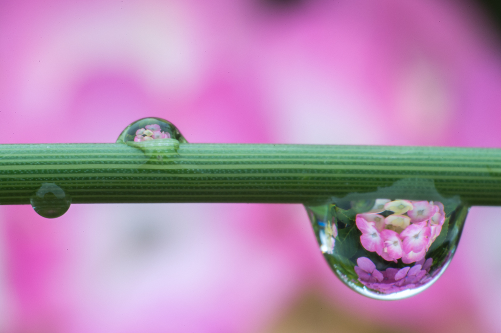 梅雨