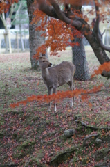 PICT0044