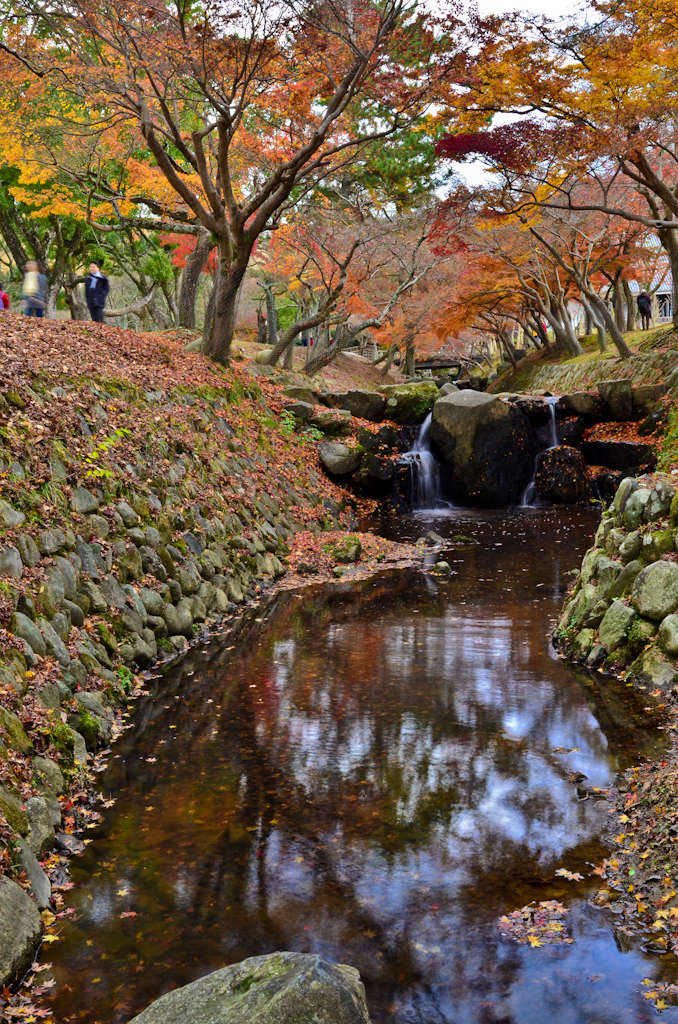DSC_9873-1