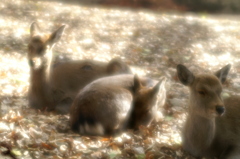 PICT0030