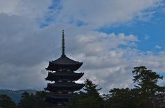 DSC_9800-1
