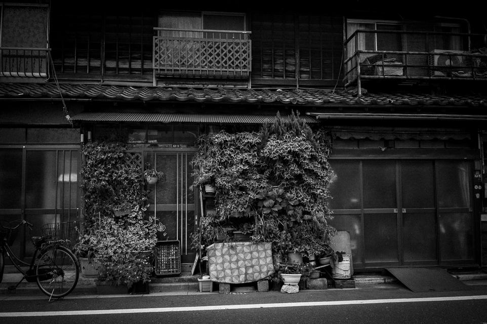 京島界隈 #5