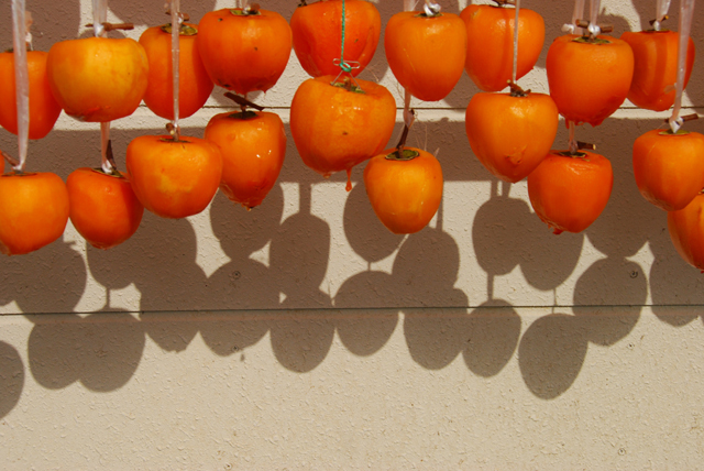 枯露柿（塩山付近）