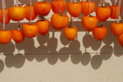 枯露柿（塩山付近）