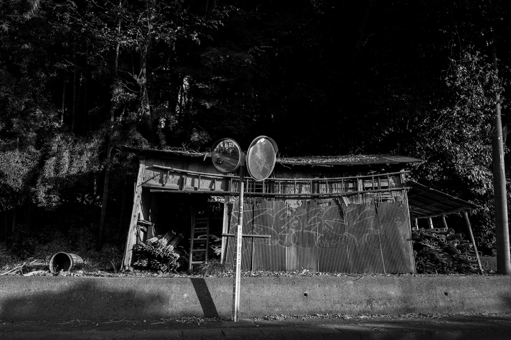 茅ヶ崎 芹沢